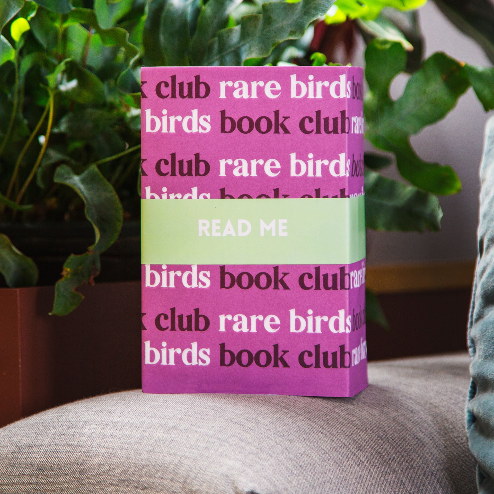 Rare Birds Book Club 6Month Rolling Subscription (Pay Twice Yearly Rare Bird Books Advent Calendar