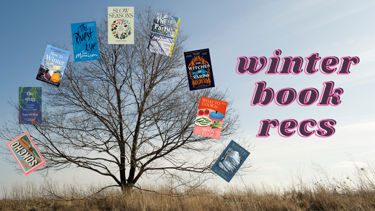 A Winter Reading Guide – Rare Birds Books