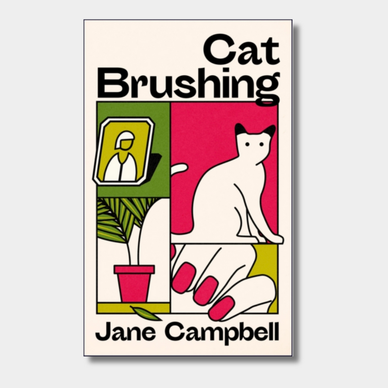 Cat Brushing