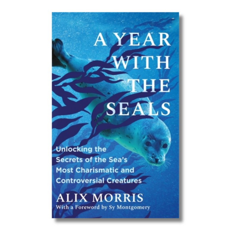 A Year with the Seals: Unlocking the Secrets of the Sea&