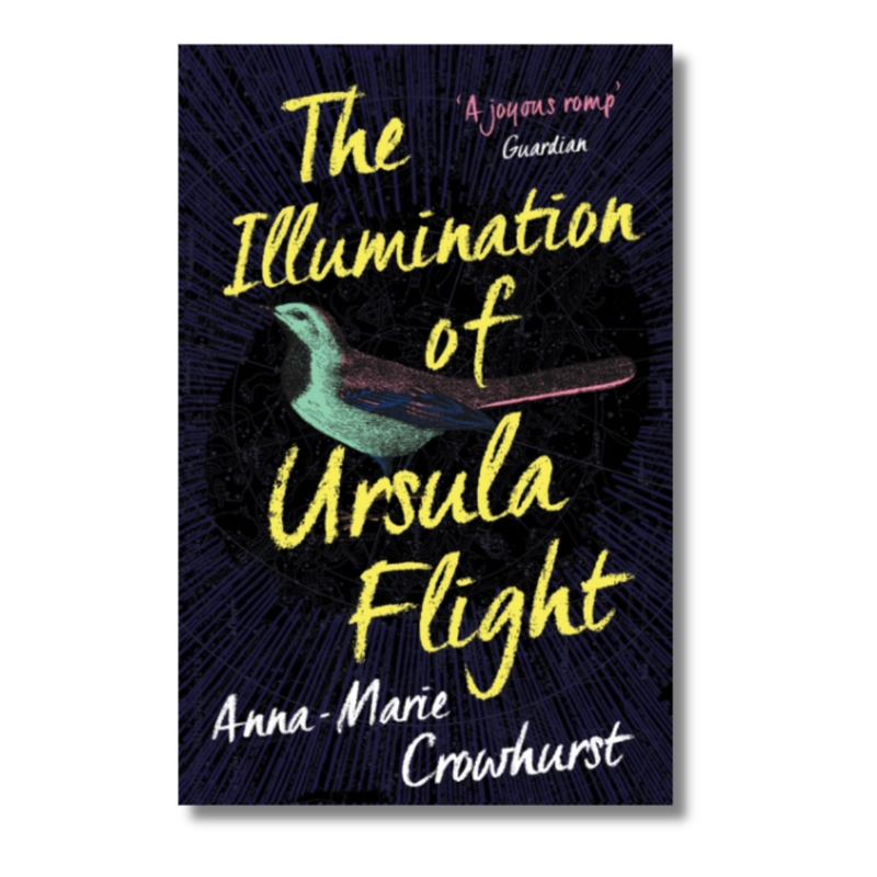 The Illumination of Ursula Flight