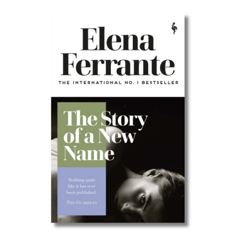 The Story of a New Name (Neapolitan Quartet 