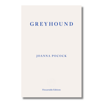 Greyhound
