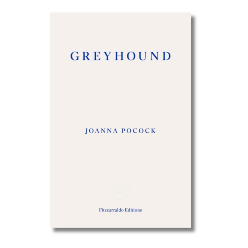 Greyhound