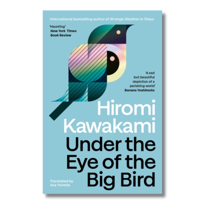 Under the Eye of the Big Bird