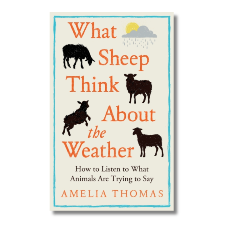 What Sheep Think About the Weather : How to listen to what animals are trying to say