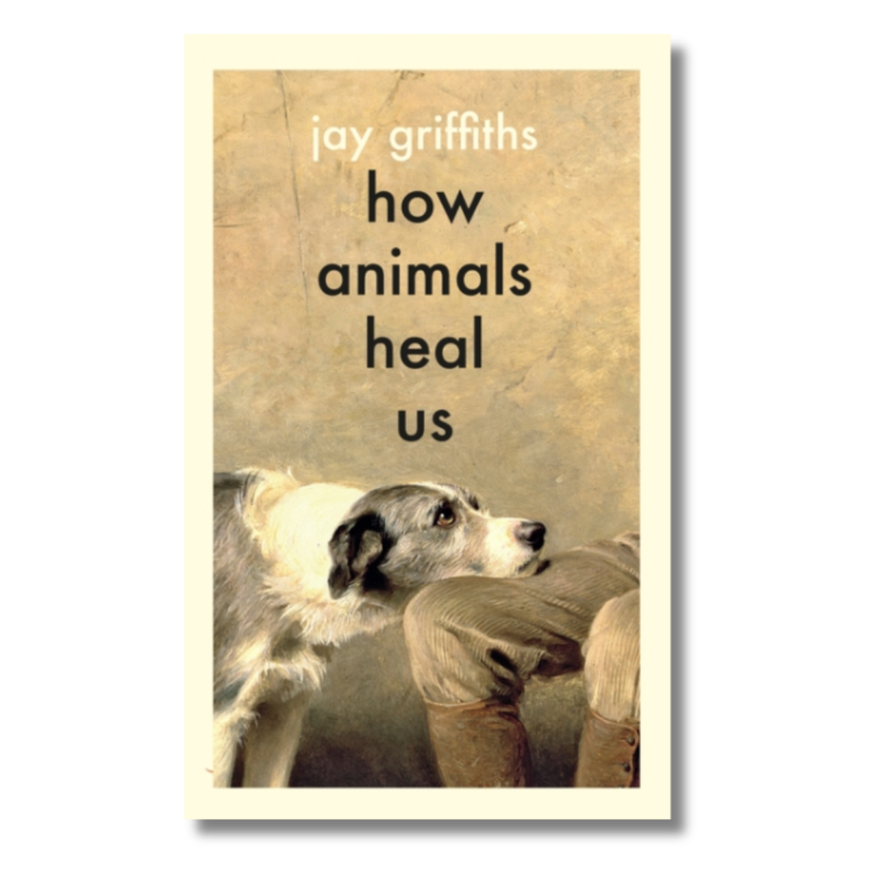 How Animals Heal Us