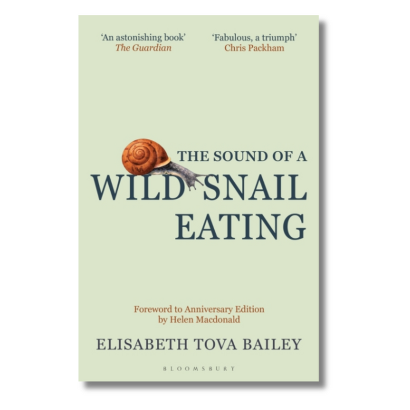 The Sound of a Wild Snail Eating
