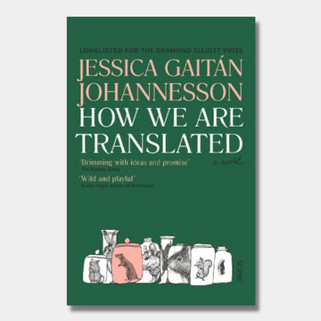How We Are Translated : a novel