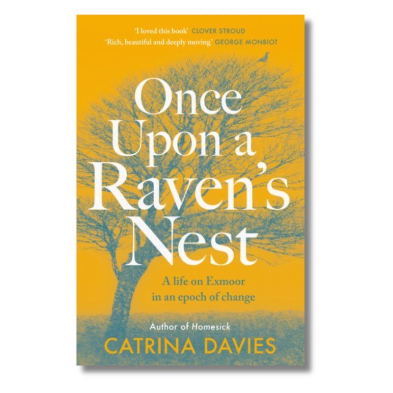 Once Upon a Raven&