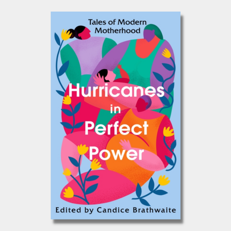 Hurricanes in Perfect Power : Tales of Modern Motherhood