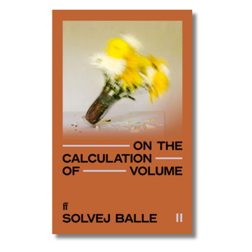 On the Calculation of Volume II