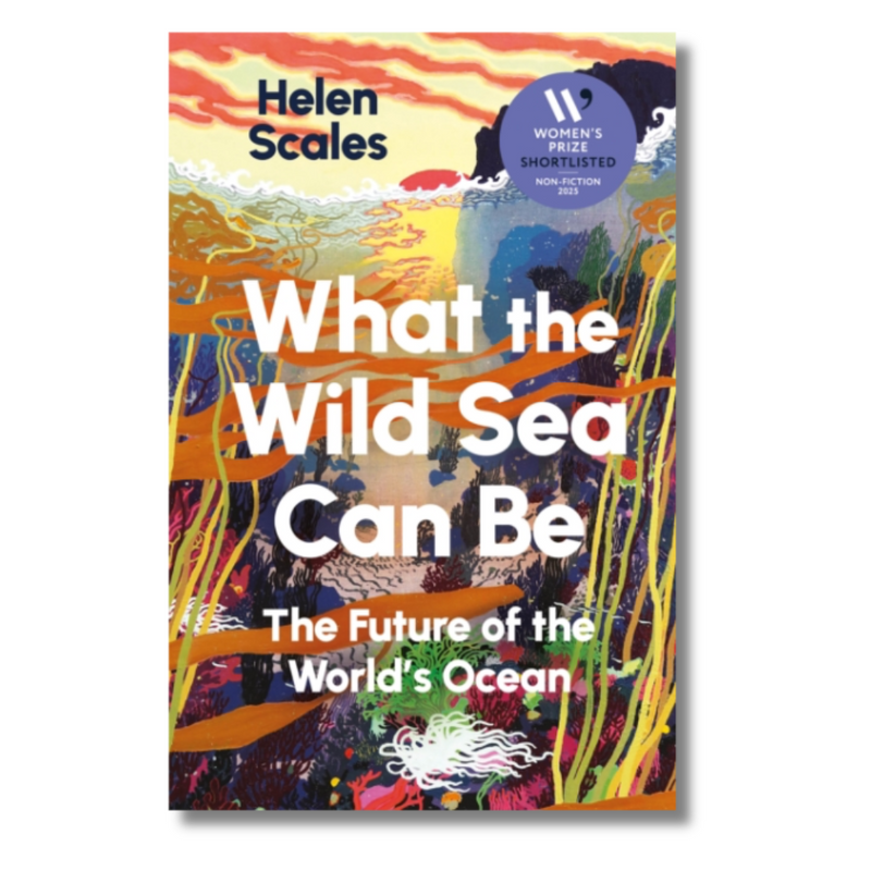 What the Wild Sea Can Be