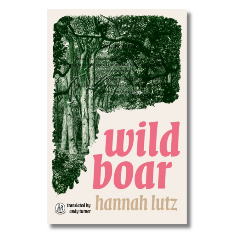 Wild Boar