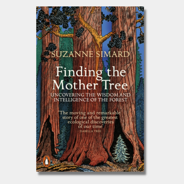 Finding the Mother Tree: Uncovering the Wisdom and Intelligence of the Forest