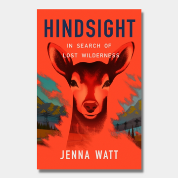 Hindsight : In Search of Lost Wilderness