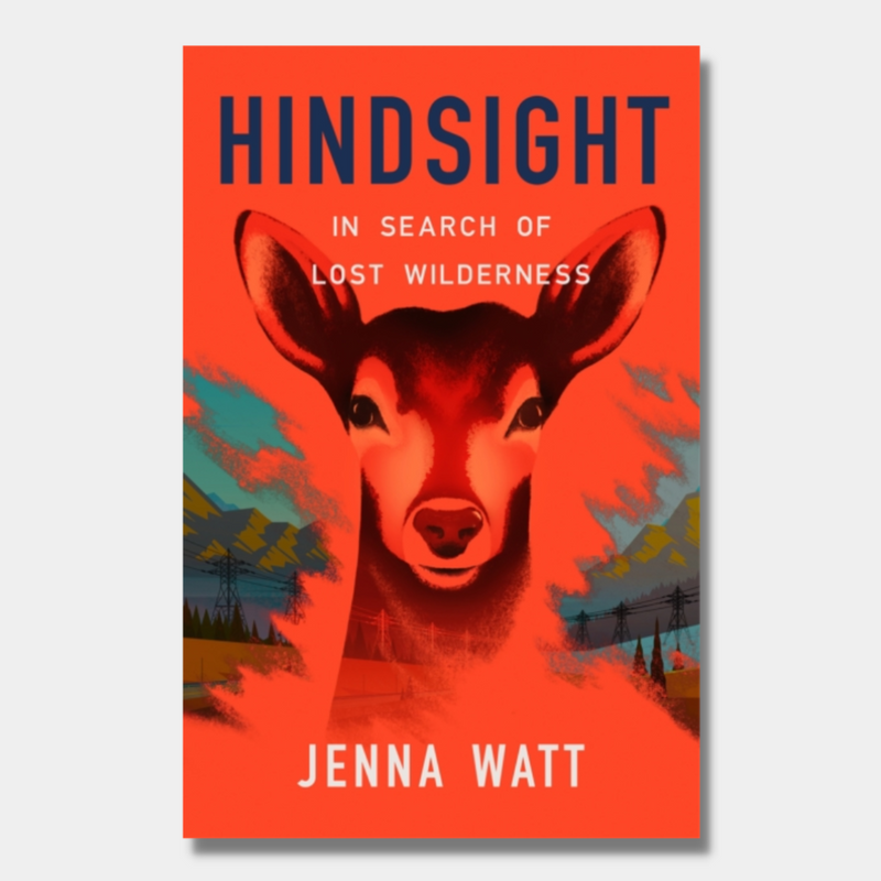 Hindsight : In Search of Lost Wilderness