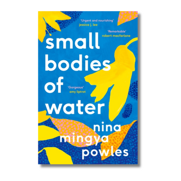 Small Bodies of Water