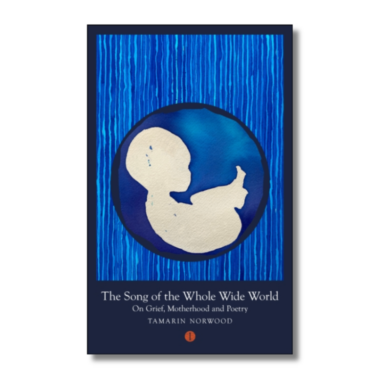 The Song of the Whole Wide World : On Grief, Motherhood and Poetry