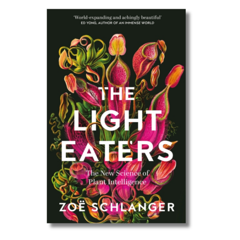 The Light Eaters : The New Science of Plant Intelligence