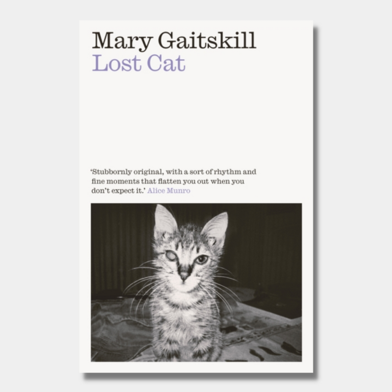 Lost Cat : A Memoir