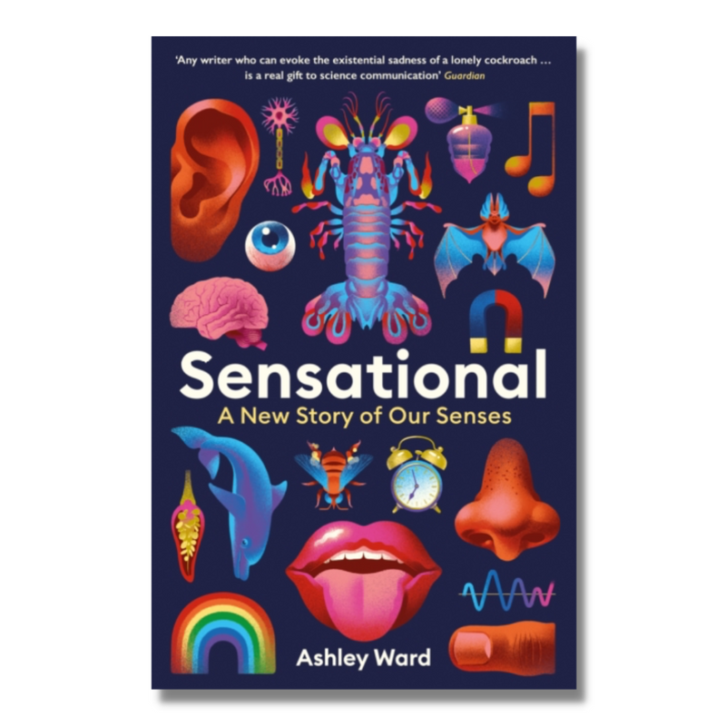 Sensational : A New Story of our Senses
