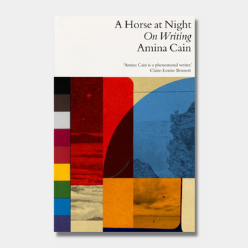 A Horse at Night : On Writing