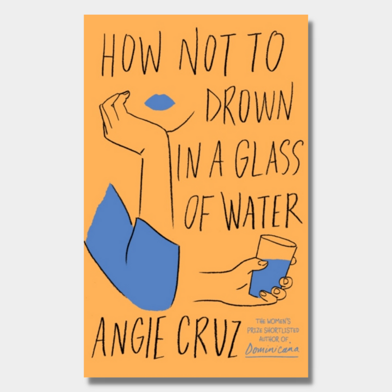 How Not To Drown In A Glass Of Water Rare Birds Books How not to drown in a glass of water rare birds books